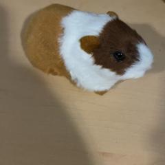 Plyšová hračka Cavia, ako bolo nahlásené Jaarbeurs pomocou iLost