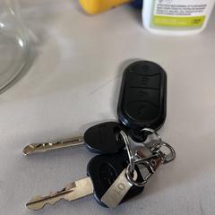 Sleutels, gerapporteerd met iLost