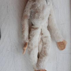 Knuffel Wit, gemeldet von DierenPark Amersfoort über iLost