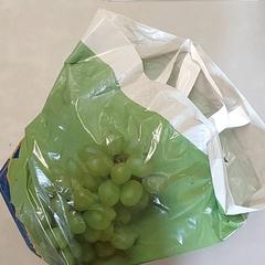 Bolsa - Plastiek tas, ha sido reportado por Centraal magazijn con iLost