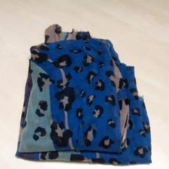 Kendő, amint azt Arriva Oost-Brabant az iLost segítségével jelentette.