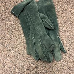 Handschoenen, zoals gemeld door Burgers' Zoo met iLost