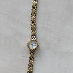 Reloj de pulsera, ha sido reportado por Blauwnet Zwolle con iLost