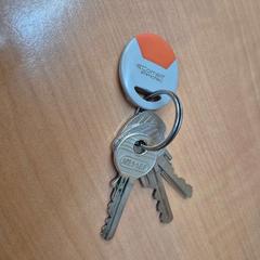 Llave Sleutelhanger ( Grijs, Oranje), ha sido reportado por Gemeente Zutphen con iLost