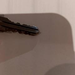 Nøkler, som rapportert av De Efteling ved bruk av iLost