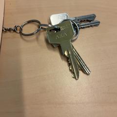 Sleutel، كما تم الإبلاغ عنه بواسطة RET عبر iLost