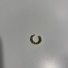 イヤリング Helix goud がiLostで Cursus en vergadercentrum Domstad によって報告されました