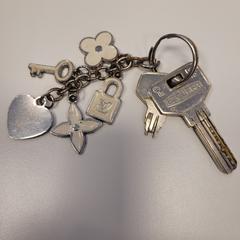 İLost kullanarak Gemeente Zonhoven tarafından bildirildiği gibi Sleutelbos