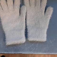 장갑, iLost를 사용하여 Diergaarde Blijdorp에 보고됨