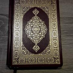 Libro, segundo informou EBS Tramplein usando iLost