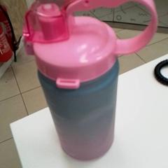 Gourde, como reportado por ilévia utilizando o iLost