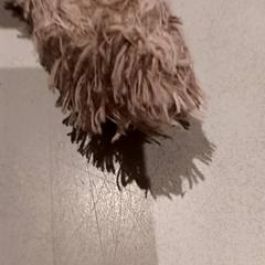 Knuffel, zgłoszono przez De Efteling przy użyciu iLost