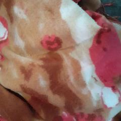 Sjal, rapporterat av Regio Limburg - Leuven med iLost