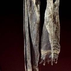 Shawl Grijs met blauw/bruine strepen., as reported by TivoliVredenburg using iLost