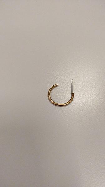 Earring