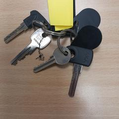 Sleutels, zoals gemeld door Pouw Vervoer met iLost