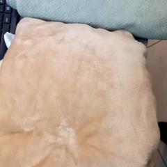 Towels, as reported by Leonardo Royal Hotel Amsterdam using iLost