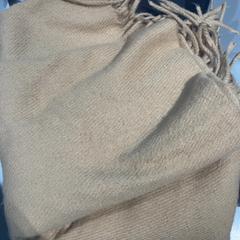 شال sjaal، كما تم الإبلاغ عنه بواسطة Pathé Tilburg Stappegoor عبر iLost