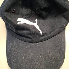 Mütze Zwart, gemeldet von Burgers' Zoo über iLost