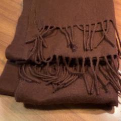 شال Bruin، كما تم الإبلاغ عنه بواسطة Pathé Rembrandt Utrecht عبر iLost