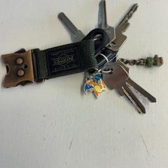 鍵 がiLostで GVB によって報告されました