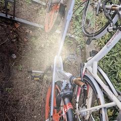 Bicicleta femenina, segons ha informat Gemeente Roermond mitjançant iLost