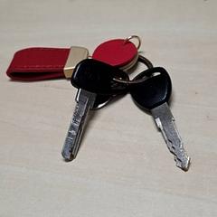 Chaves sleurels, como reportado por Arriva Oost-Brabant utilizando o iLost