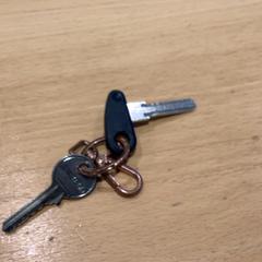 Clé Verroest, a été signalé par Gemeente Gooise Meren utilisant iLost