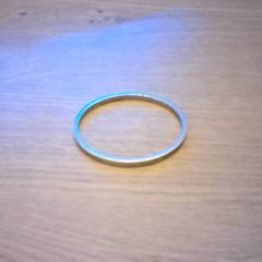 Armband zilver, rapporterat av Bobbejaanland med iLost