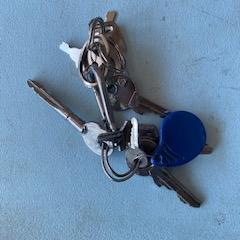 Sleutelbos, as reported to iLost