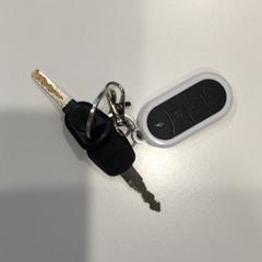 Nøkkelring, som rapportert av Gemeente Weert ved bruk av iLost