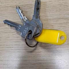 Klucze, zgłoszono przez Fietsdepot Diepenbeek przy użyciu iLost