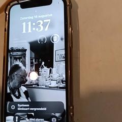 Chytrý telefon iPhone, jak nahlášeno Pukkelpop pomocí iLost