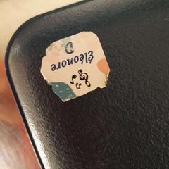 Instrument muzyczny avec étui bleu, zgłoszono przez TCL przy użyciu iLost