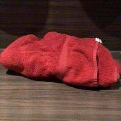 Towel Rood, as reported by Van der Valk Hotel Zwolle using iLost