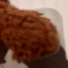 Peluche, como reportado por De Efteling utilizando o iLost