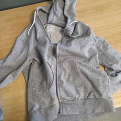 Vest, som rapportert av Dolfinarium ved bruk av iLost