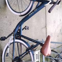 Dámské kolo Altec, jak nahlášeno Stadswerk072 pomocí iLost