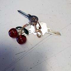 Nøkkelring, som rapportert av Hermes Eindhoven ved bruk av iLost