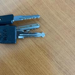 Sleutels, zoals gemeld door Arriva Achterhoek-Rivierenland met iLost