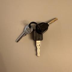 Sleutels, as reported to iLost