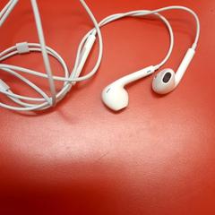 Oortjes, gisa salatu by UvA REC iLost erabiliz