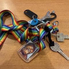 Bag, som rapportert av Gemeente Amsterdam ved bruk av iLost