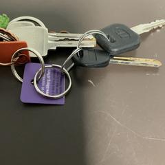 Nøkkelring, som rapportert av Pathé Amersfoort ved bruk av iLost