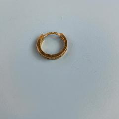 Örhänge, rapporterat av UMC Utrecht med iLost