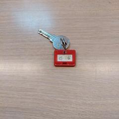 Clau, segons ha informat Regio Limburg - Leuven mitjançant iLost