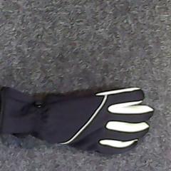 Glove, as reported by SnowWorld Landgraaf using iLost