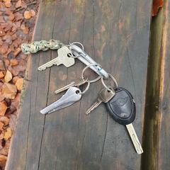 Sleutelbos met autosleutel mini en huissleutels, segundo informou a iLost