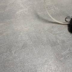 Nøkkel Zwart, som rapportert av Arriva Friesland / Groningen ved bruk av iLost