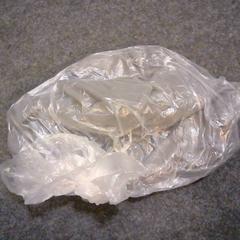 Jogger, gemeldet von SnowWorld Landgraaf über iLost